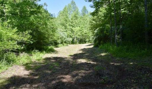 Photo of SOLD!!  24 Acres of Hunting and Recreational Land For Sale in Bedford County VA!