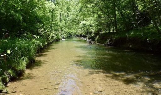 Photo of SOLD!!  24 Acres of Hunting and Recreational Land For Sale in Bedford County VA!