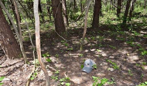 Photo of SOLD!!  24 Acres of Hunting and Recreational Land For Sale in Bedford County VA!