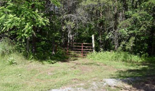 Photo of SOLD!!  24 Acres of Hunting and Recreational Land For Sale in Bedford County VA!