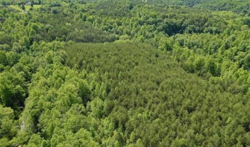 Photo of SOLD!!  24 Acres of Hunting and Recreational Land For Sale in Bedford County VA!