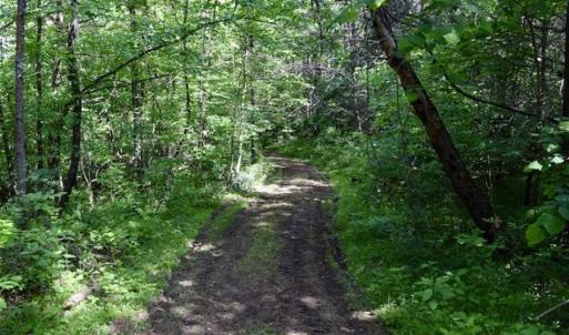 Photo of SOLD!!  24 Acres of Hunting and Recreational Land For Sale in Bedford County VA!