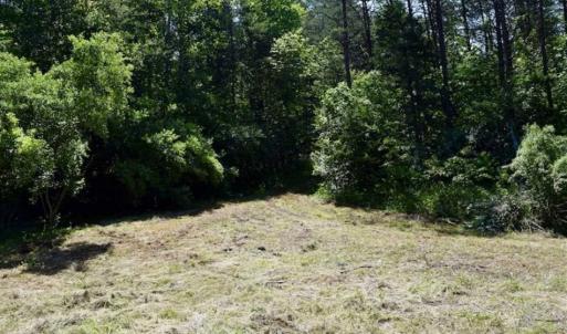 Photo of SOLD!!  24 Acres of Hunting and Recreational Land For Sale in Bedford County VA!