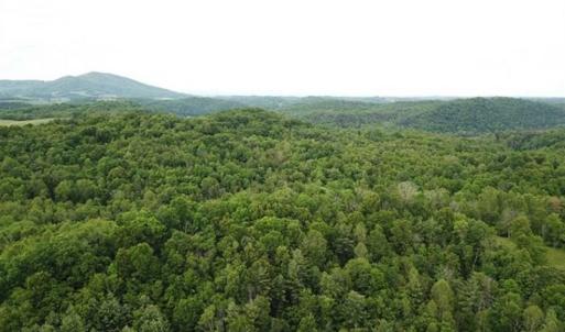 Photo of 15.67 Acres of Residential and Hunting Land For Sale in Pulaski County VA!