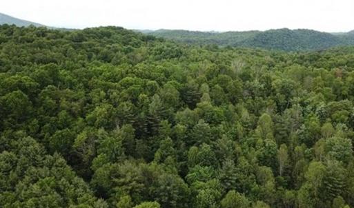 Photo of 15.67 Acres of Residential and Hunting Land For Sale in Pulaski County VA!