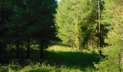 Photo of 15.67 Acres of Residential and Hunting Land For Sale in Pulaski County VA!