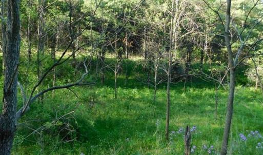 Photo of 15.67 Acres of Residential and Hunting Land For Sale in Pulaski County VA!