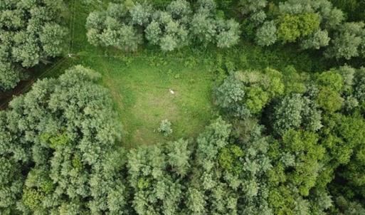 Photo of 15.67 Acres of Residential and Hunting Land For Sale in Pulaski County VA!