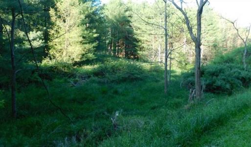 Photo of 15.67 Acres of Residential and Hunting Land For Sale in Pulaski County VA!