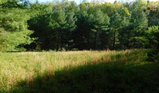 Photo of 15.67 Acres of Residential and Hunting Land For Sale in Pulaski County VA!