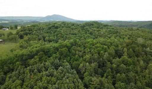 Photo of 15.67 Acres of Residential and Hunting Land For Sale in Pulaski County VA!