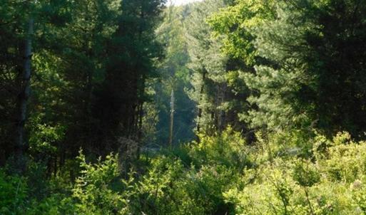 Photo of 15.67 Acres of Residential and Hunting Land For Sale in Pulaski County VA!
