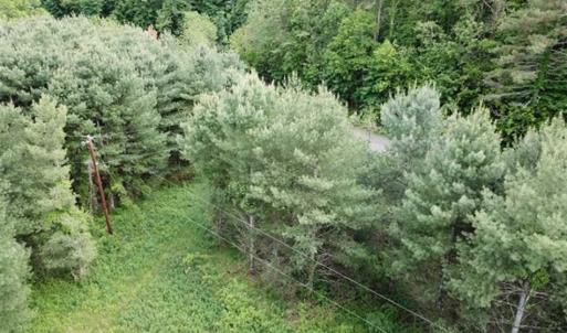 Photo of 15.67 Acres of Residential and Hunting Land For Sale in Pulaski County VA!