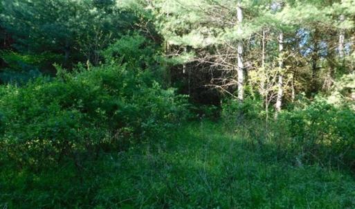 Photo of 15.67 Acres of Residential and Hunting Land For Sale in Pulaski County VA!