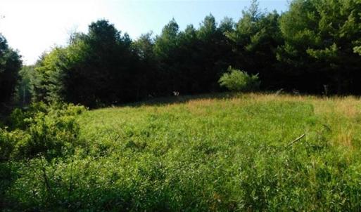 Photo of 15.67 Acres of Residential and Hunting Land For Sale in Pulaski County VA!