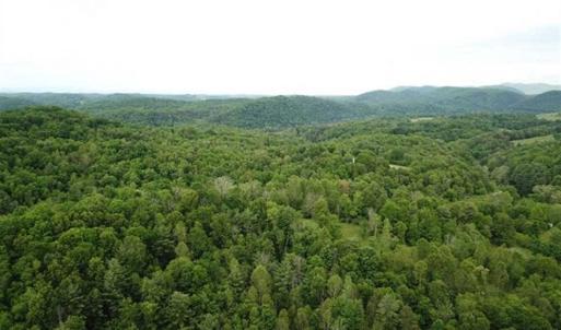 Photo of 15.67 Acres of Residential and Hunting Land For Sale in Pulaski County VA!