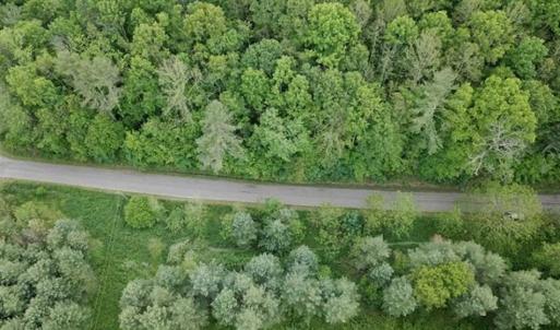 Photo of 15.67 Acres of Residential and Hunting Land For Sale in Pulaski County VA!