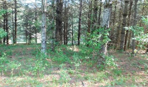 Photo of 15.67 Acres of Residential and Hunting Land For Sale in Pulaski County VA!