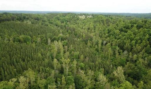 Photo of 35 Acres of Hunting and Residential Land For Sale in Henry County VA!