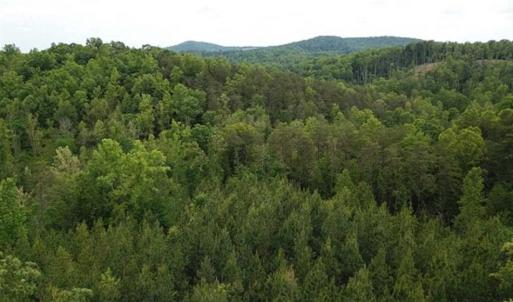 Photo of 35 Acres of Hunting and Residential Land For Sale in Henry County VA!