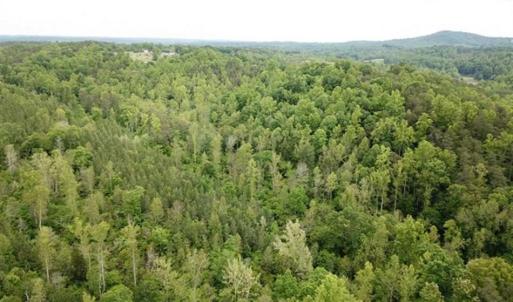 Photo of 35 Acres of Hunting and Residential Land For Sale in Henry County VA!