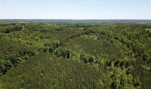 Photo of 35 Acres of Hunting and Residential Land For Sale in Henry County VA!