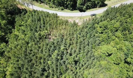 Photo of 35 Acres of Hunting and Residential Land For Sale in Henry County VA!