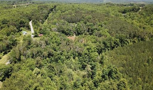 Photo of 35 Acres of Hunting and Residential Land For Sale in Henry County VA!