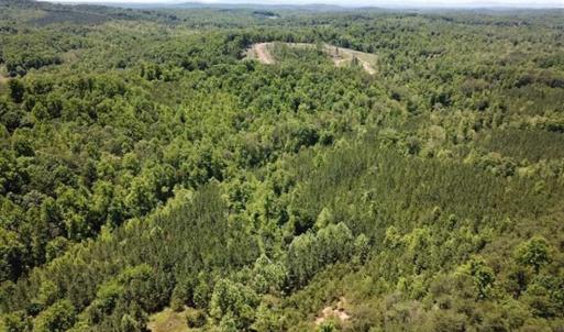 Photo of 35 Acres of Hunting and Residential Land For Sale in Henry County VA!