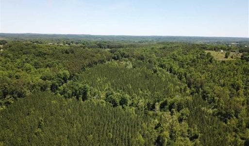 Photo of 35 Acres of Hunting and Residential Land For Sale in Henry County VA!