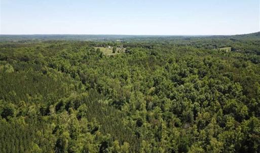 Photo of 35 Acres of Hunting and Residential Land For Sale in Henry County VA!