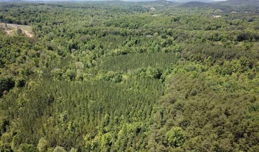 Photo of 35 Acres of Hunting and Residential Land For Sale in Henry County VA!