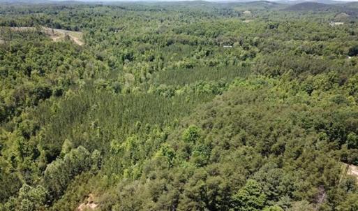 Photo of 35 Acres of Hunting and Residential Land For Sale in Henry County VA!
