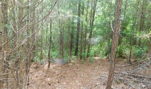 Photo of 35 Acres of Hunting and Residential Land For Sale in Henry County VA!