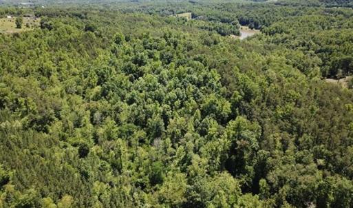 Photo of 35 Acres of Hunting and Residential Land For Sale in Henry County VA!