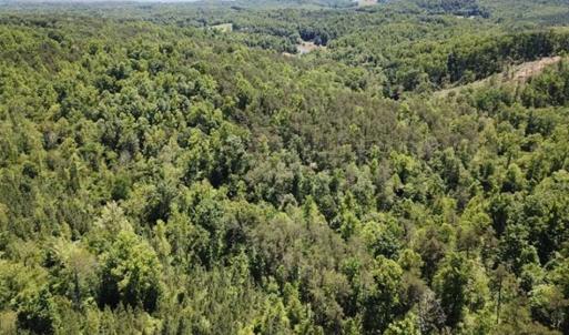 Photo of 35 Acres of Hunting and Residential Land For Sale in Henry County VA!