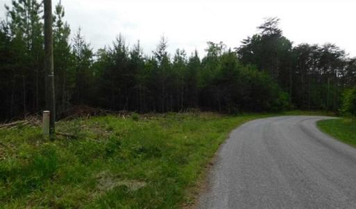 Photo of 35 Acres of Hunting and Residential Land For Sale in Henry County VA!