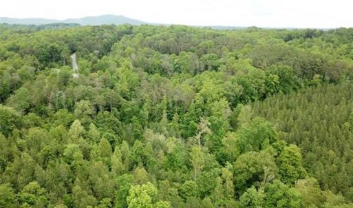 Photo of 35 Acres of Hunting and Residential Land For Sale in Henry County VA!