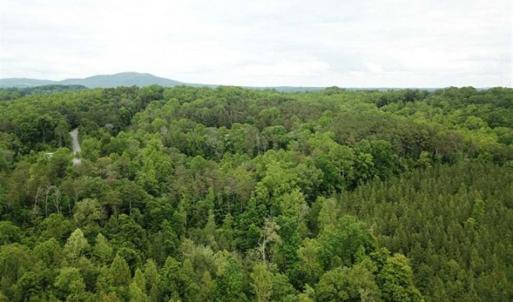 Photo of 35 Acres of Hunting and Residential Land For Sale in Henry County VA!
