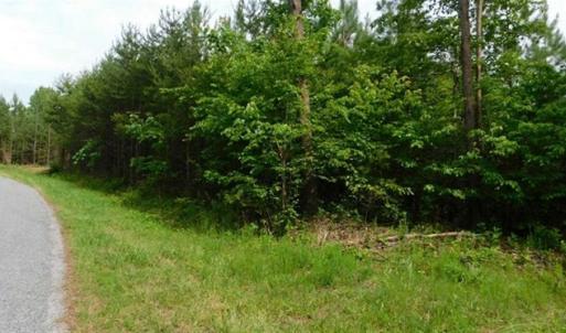 Photo of 35 Acres of Hunting and Residential Land For Sale in Henry County VA!