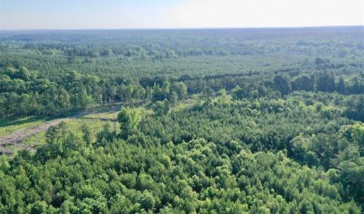 Photo of SOLD!!  11.89 Acres of Residential Hunting and Timber Land in Anson County NC!