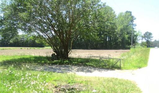 Photo of SOLD!!  197.24 Acres of Farm and Timber Land For Sale in Columbus County NC!