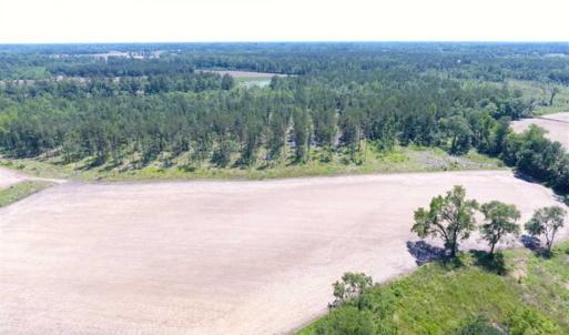 Photo of SOLD!!  197.24 Acres of Farm and Timber Land For Sale in Columbus County NC!