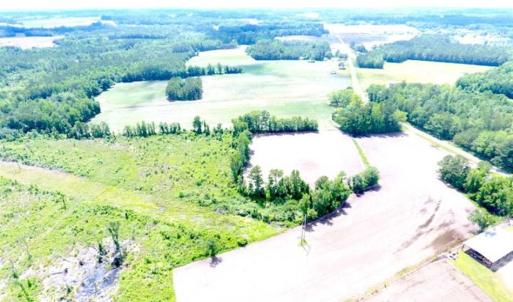 Photo of SOLD!!  197.24 Acres of Farm and Timber Land For Sale in Columbus County NC!
