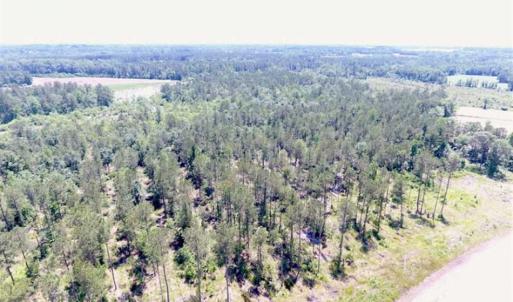 Photo of SOLD!!  197.24 Acres of Farm and Timber Land For Sale in Columbus County NC!