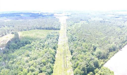 Photo of SOLD!!  197.24 Acres of Farm and Timber Land For Sale in Columbus County NC!