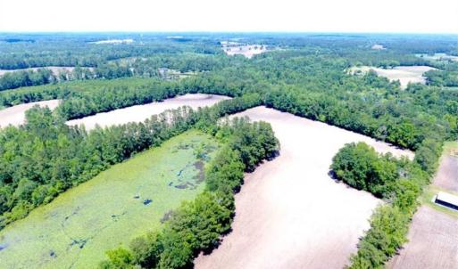 Photo of SOLD!!  197.24 Acres of Farm and Timber Land For Sale in Columbus County NC!
