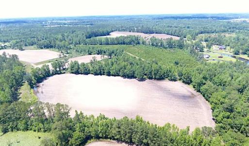 Photo of SOLD!!  197.24 Acres of Farm and Timber Land For Sale in Columbus County NC!