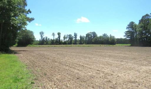 Photo of SOLD!!  197.24 Acres of Farm and Timber Land For Sale in Columbus County NC!