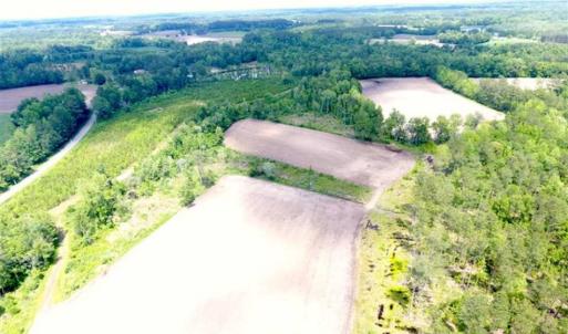 Photo of SOLD!!  197.24 Acres of Farm and Timber Land For Sale in Columbus County NC!